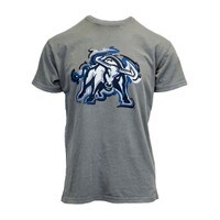Painted Bull Logo Gray Short-Sleeve T-Shirt